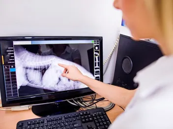How Much Does a Dog X-Ray Cost? Pricing 2026 Guide