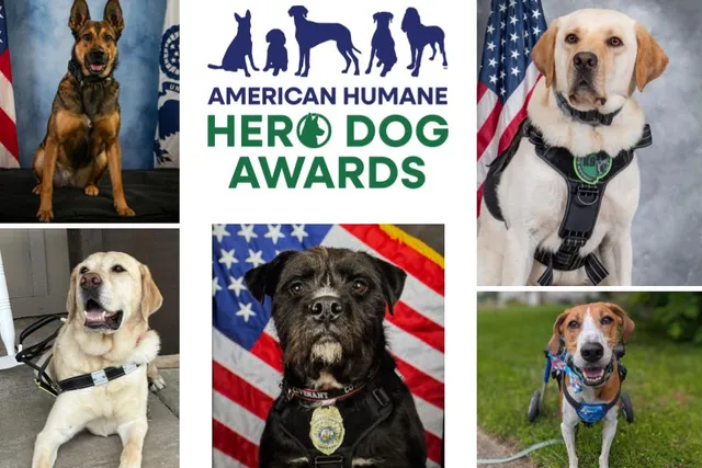 American Humane Hero Dog Awards© 2025 Finalists & Winners: Heroes of the Dog World