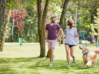 Dating With Dogs: 9 Good Reasons to Date a Dog Owner