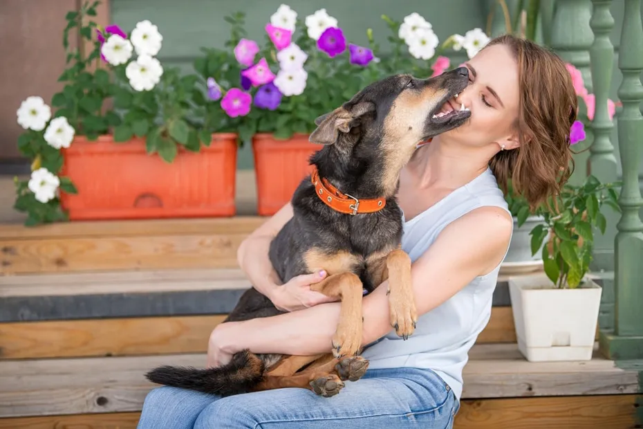 dog bite her owner