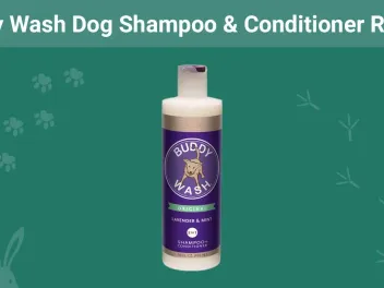 Buddy Wash Dog Shampoo & Conditioner Review 2026: Our Expert's Opinion