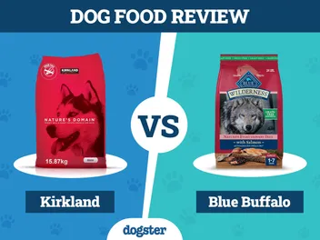 Kirkland vs Blue Buffalo Dog Food Comparison 2026: Which Is Better?