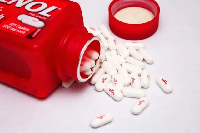 Can You Give a Dog Tylenol? Vet-Approved Facts & Risks