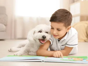 How Much Does a Bichon Frise Cost in 2026? Updated Price Guide
