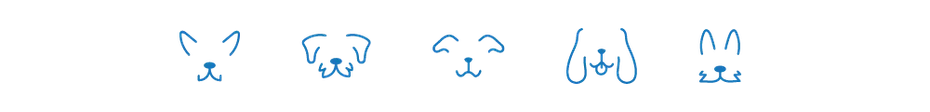 Dogster divider_v1_NEW_MAY_24_