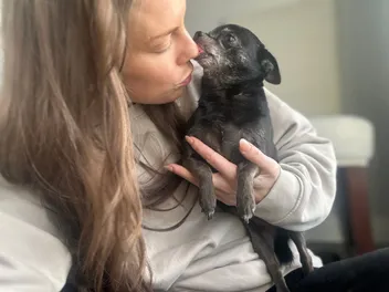 When Dogs Are Obsessed with Licking: Subi's Slobbery Fixation