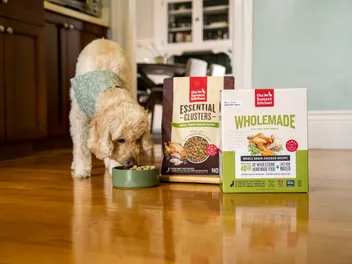 Better Than Kibble and Just as Easy to Feed
