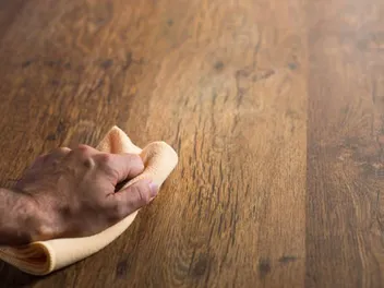 How to Clean Dog Vomit on Hardwood: 4 Effective Methods