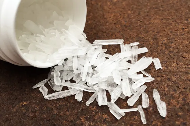 What Happens When Dogs Consume Meth? (Vet Answer)
