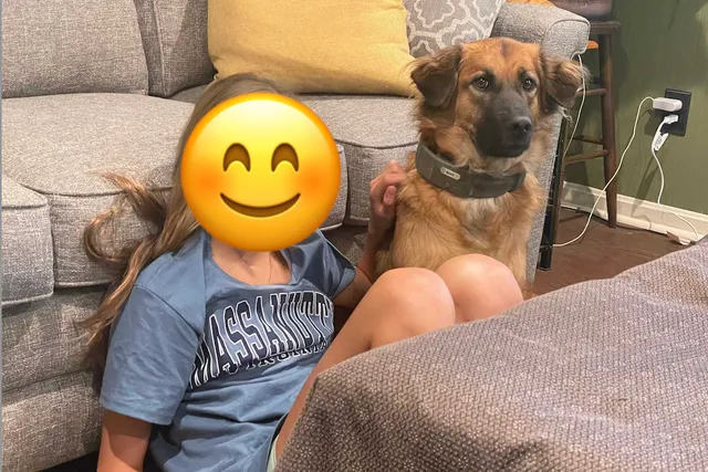 Dogs and Children: A Match Made in Heaven