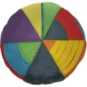 fouFIT Hide 'n Seek Disc Dog Toy