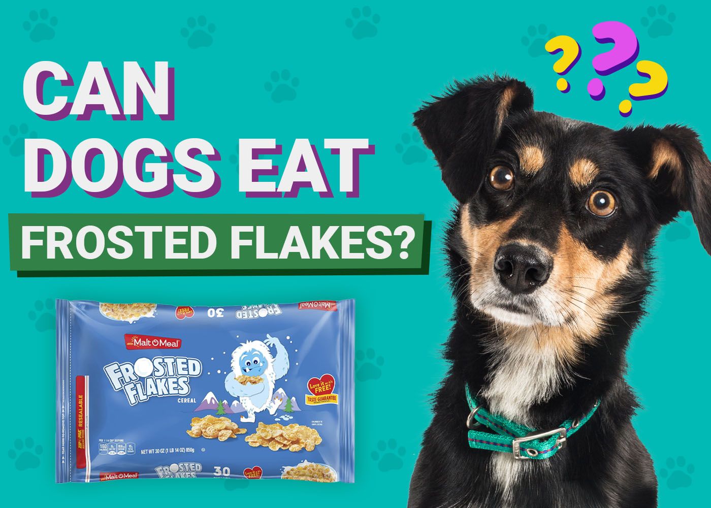 Can Dogs Eat Frosted Flakes