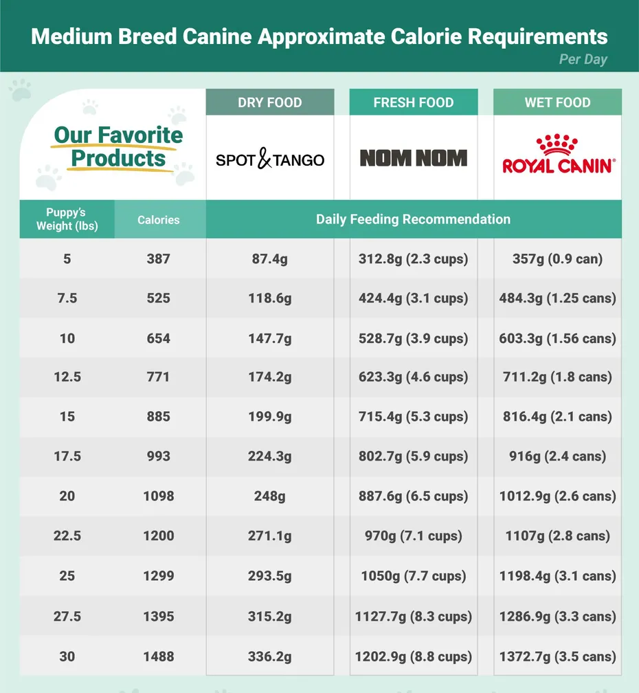 PetKeen_Calorie Requirements_puppies_Medium Breed Canine_v1_Nov 22 2023