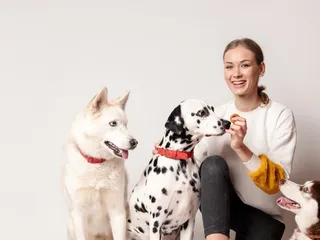 Owning a Dog as a Single Person: 10 Tips for Success