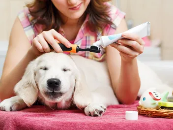 9 Best Puppy Toothpastes in 2026: Reviews & Top Picks