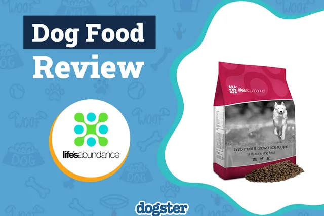 Life Abundance Dog Food Review 2026: Recalls, Pros & Cons