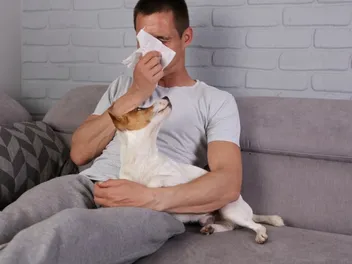Is It Possible to Build Up an Immunity to Dog Allergies? Facts & FAQ