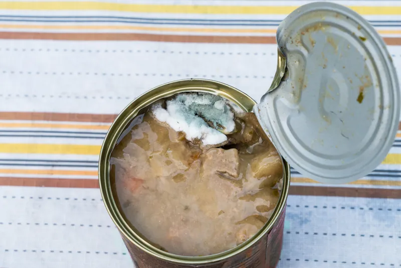 Opened dog food with molds
