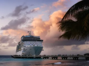 Are Dogs Allowed on Cruises? 2026 Guidelines & Suggestions