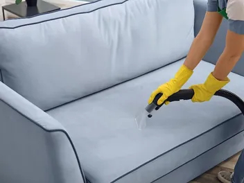My Dog Has Tapeworms: How Do I Clean My House? (2026 Guide)