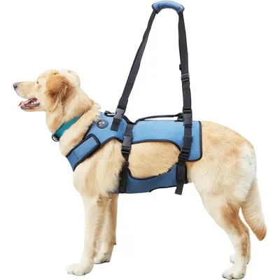 Coodeo Dog Lift Harness