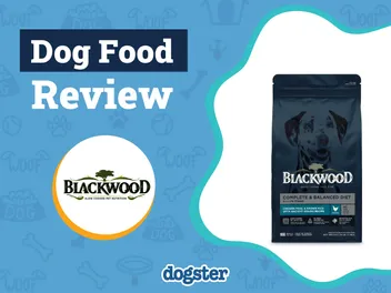 Blackwood Dog Food Review 2026: Recalls, Pros & Cons