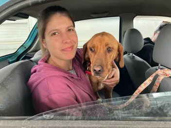How I Rescued A Greek Stray Dog: Hela's Story