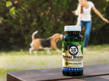 The Best Natural Wormer & Wellness Supplements for Dogs