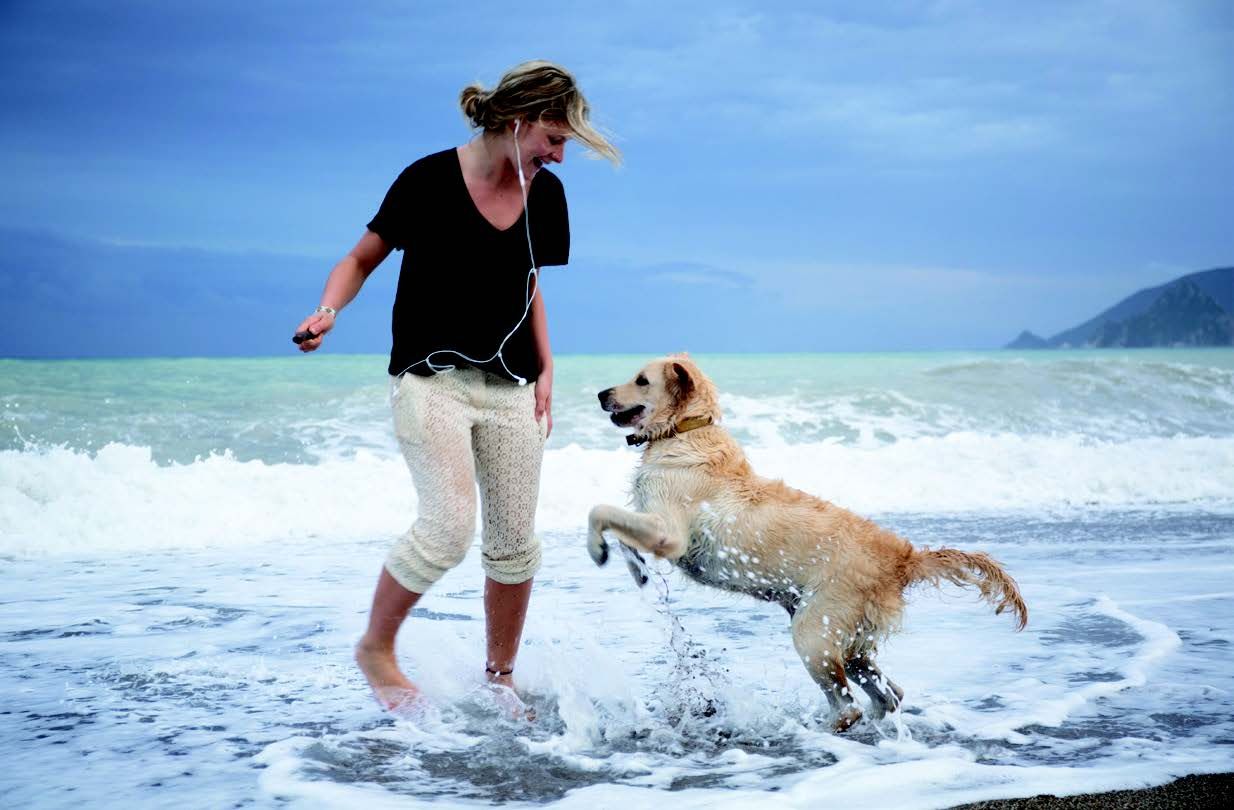 13 Vet-Approved Dog Beach Rules For A Great Day Out With Your Pup