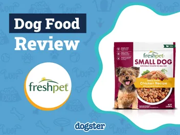 Freshpet Dog Food Review 2026: Recalls, Pros & Cons