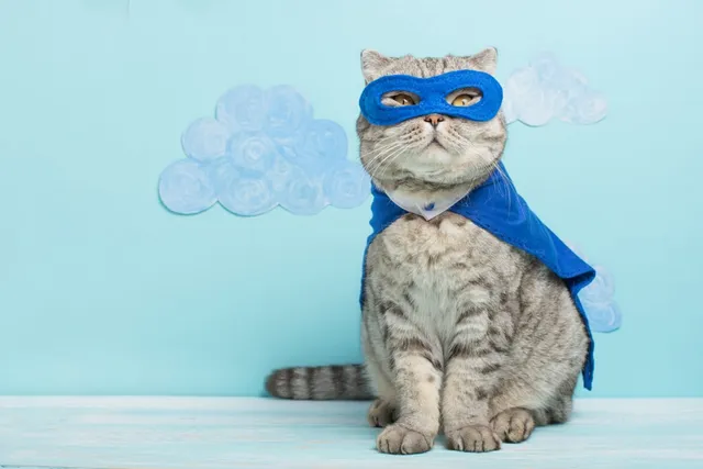 10 Famous Superheroes Inspired by Dogs & Cats (With Pictures)