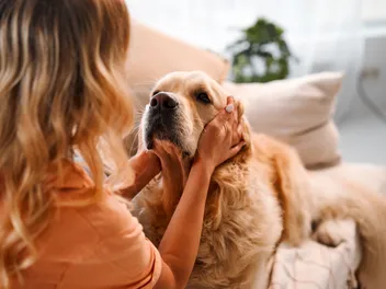 Living with a Sensitive Dog: 11 Vet-Approved Tips to Help Your Pup