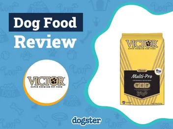 Victor Dog Food Review 2026: Pros, Cons, Recalls & FAQ