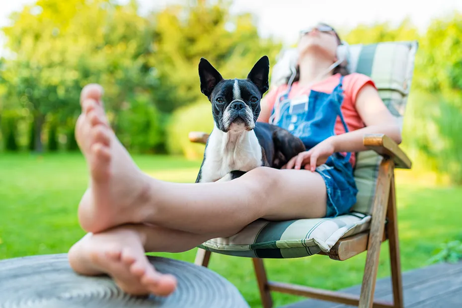 boston terrier dog resting on teenage girl's lap