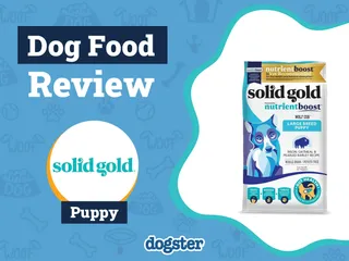 Solid Gold Puppy Food Review 2026: Recalls, Pros & Cons