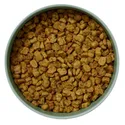 Ollie Baked Chicken & Carrot Recipe Dog Food