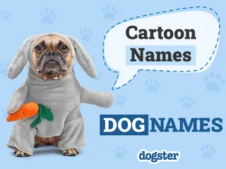 250 Cartoon Dog Names for Real-Life Goofy Pups