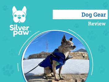 Silver Paw Maximus Dog Harness & Monty Jacket Review 2026: An Expert's Breakdown