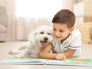 How Much Does a Bichon Frise Cost in 2026? Updated Price Guide