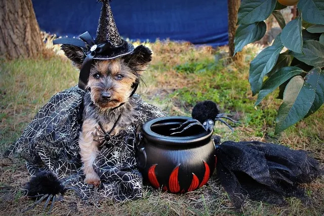 50+ Halloween Dog Puns: The Ulti-Mutt Tricks and Treats