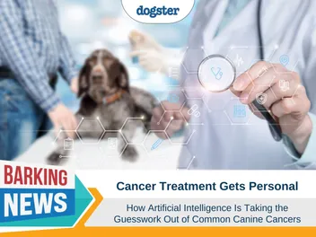 Cancer Treatment Gets Personal: How Artificial Intelligence Is Taking the Guesswork Out of Common Canine Cancers