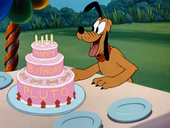 What Breed of Dog Is Pluto? Famous Dogs Presented