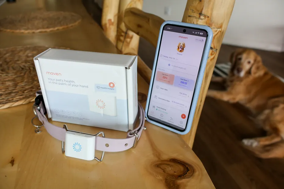 Maven pet health tracker box, collar, and app screen with a dog nearby