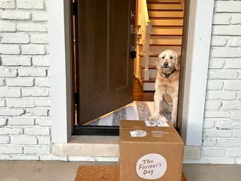 10 Best Fresh Dog Food Delivery Services in 2026 - Reviews & Top Picks