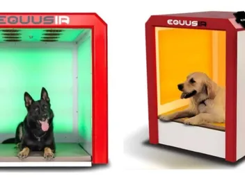 BEST-BOX: Too Good To Be True or Total Game-Changer?