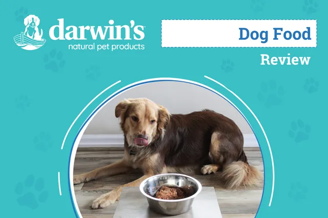 Darwin’s Natural Selections Dog Food Review 2026: An Expert's Breakdown