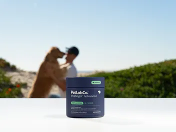 Dental Powders for Dogs: A Simple Way to Clean Teeth and Help Freshen Breath