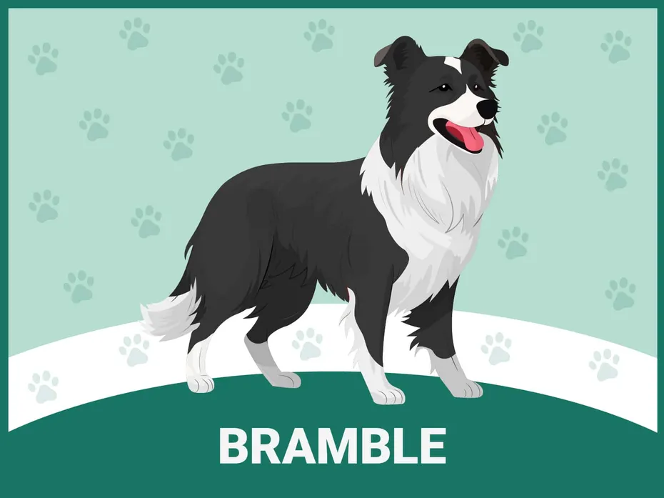 Bramble