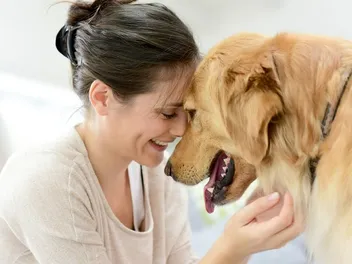 Top 20 Friendliest Dog Breeds (With Info & Pictures)