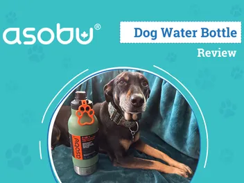 Asobu Green Buddy Bottle Dog Product Review 2026: An Expert's Breakdown